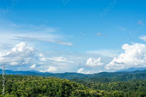 Natural landscape of trees and mountains on a clear day