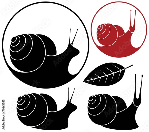 Snail
