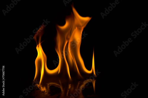 Fire flames on a black background