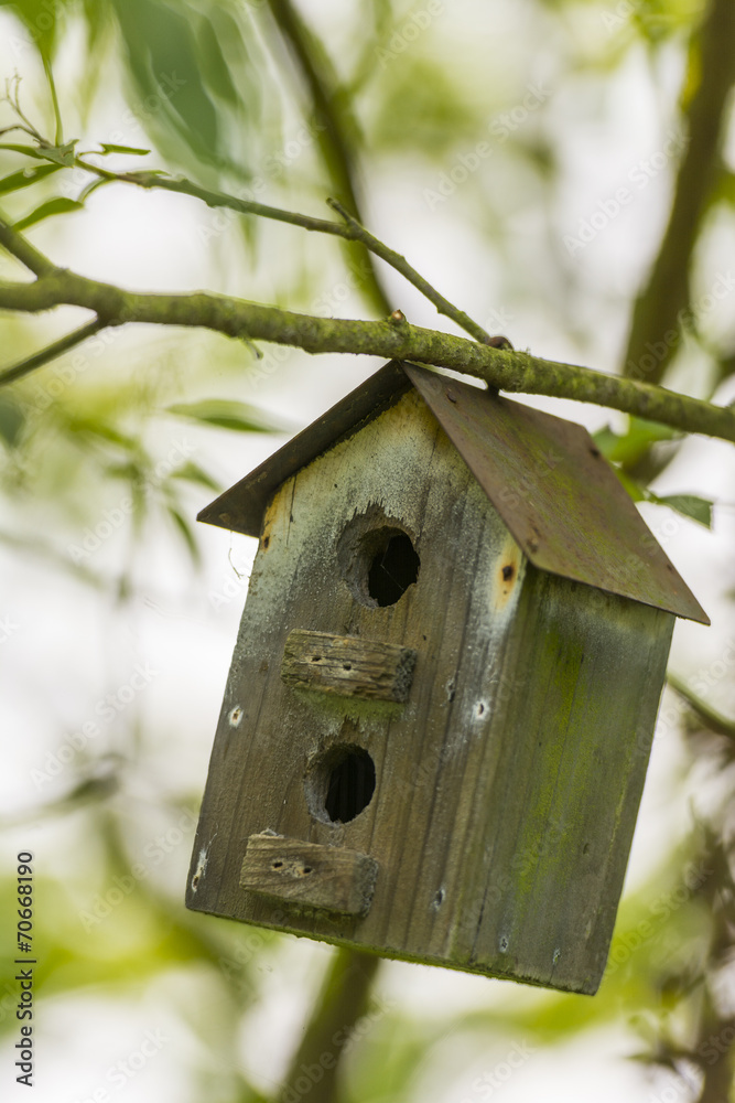 Nichoirs disséminés dans le jardin pour abriter les oiseaux Nichoirs disséminés dans le jardin pour abriter les oiseaux