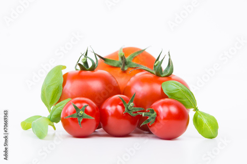 sechs tomaten mit basilikum