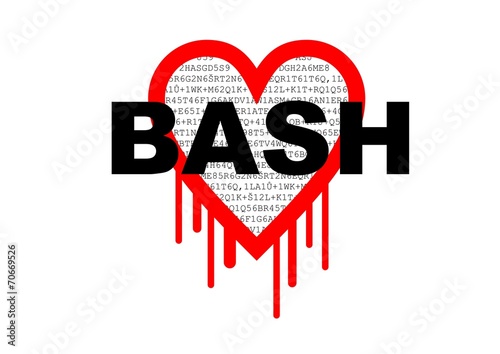 Bash Bourne-again shell security hacking problem