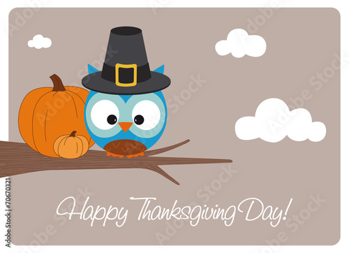 thanksgiving day, owl dressed as pilgrim with two pumpkins