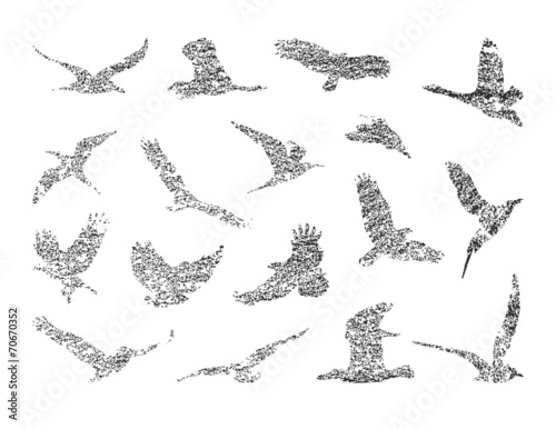 collection of birds. vector eps 8
