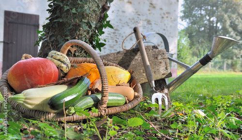 panier de courges