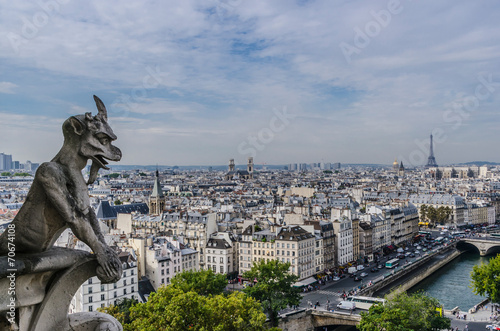 Notre Dame Cathedral Gargoyle © Alfonsodetomas