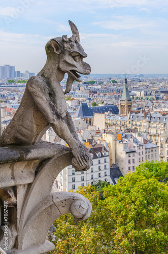 Obraz na płótnie Notre Dame gargoyle