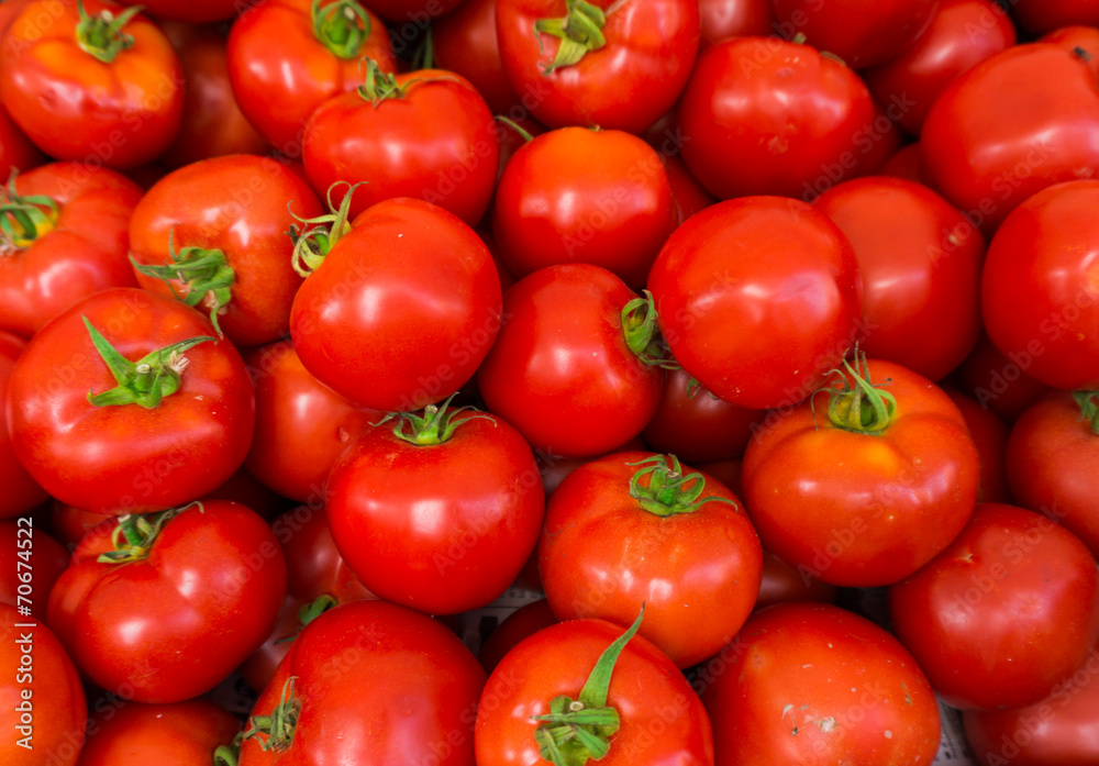 red tomatoes background.  Group of tomatoes