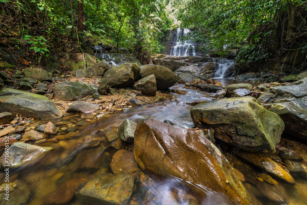 Obraz premium Rainforest waterfall
