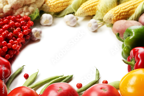 Frame of fresh organic vegetables on white background