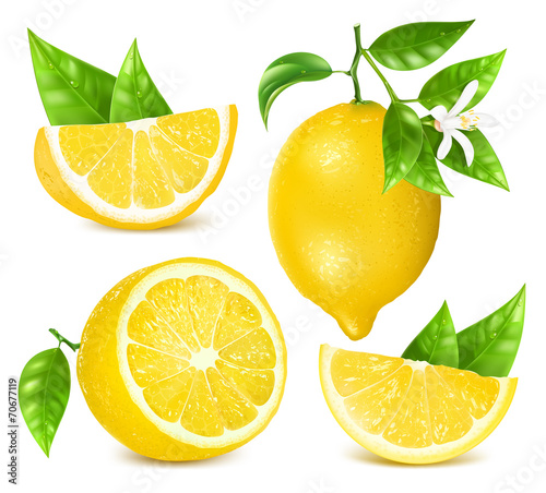 Fresh lemons with leaves and blossom.