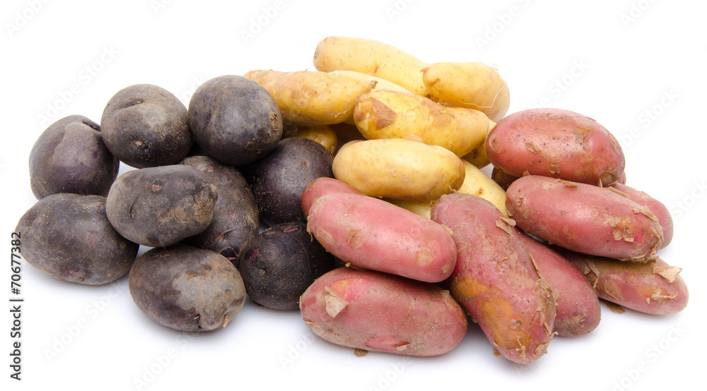 Red, purple and new potatoes Red, purple and new potatoes