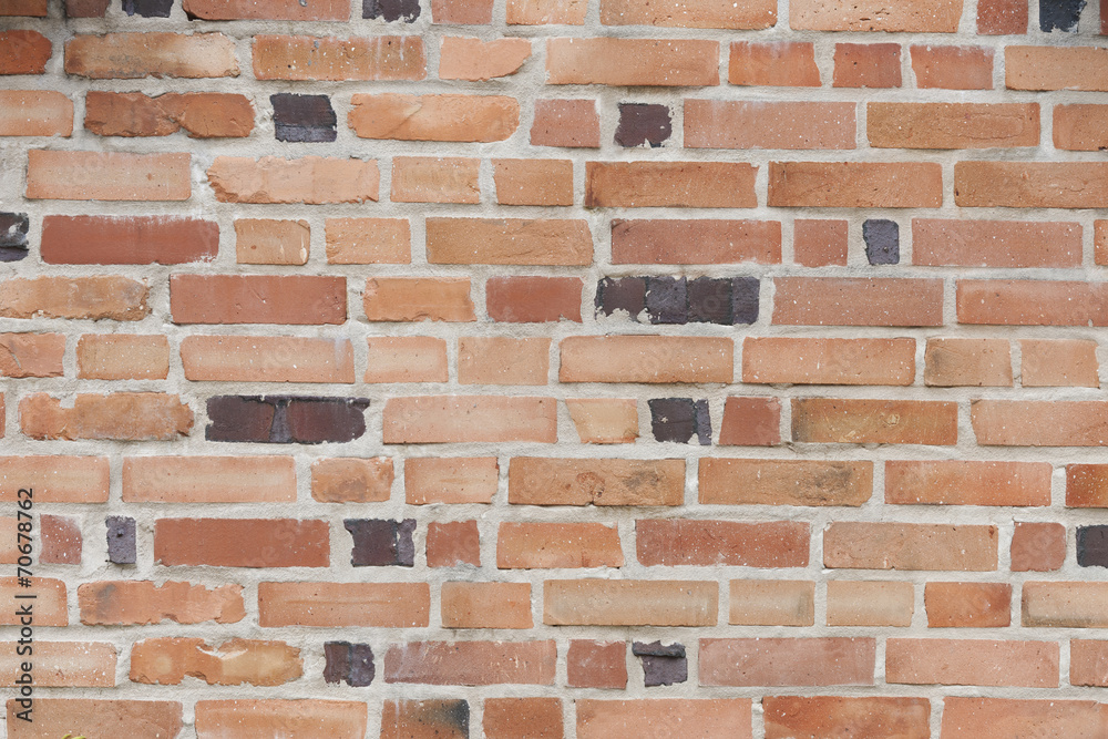 Fototapeta premium レンガの壁
