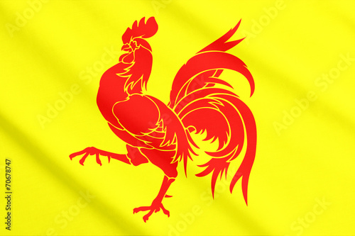 Wallonia flag waving