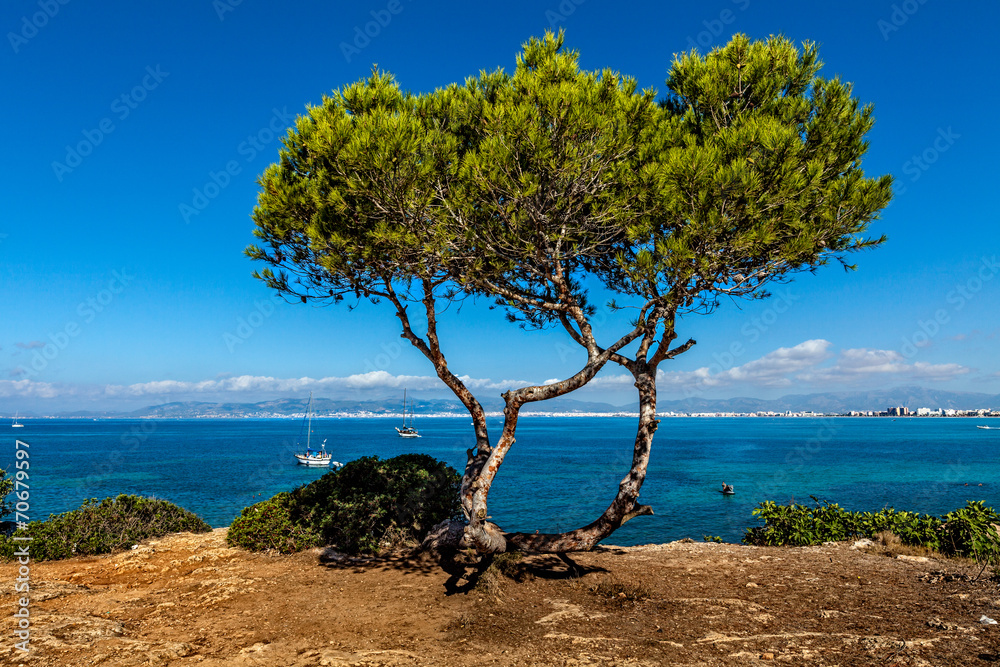 Seascape in Majorca