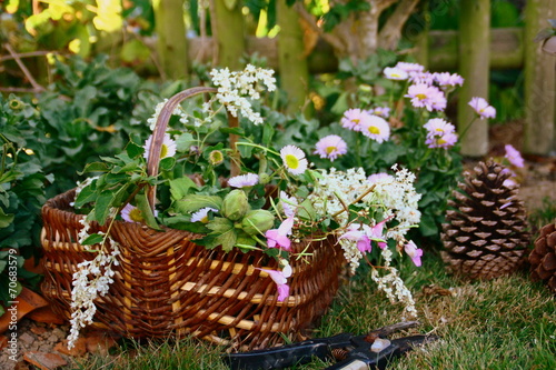 panier  cueillette de fleurs sauvages  en campagne