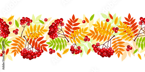 Horizontal seamless background with autumn rowan branches.