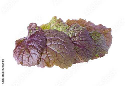 The Heap with Lush Mustard Leaves