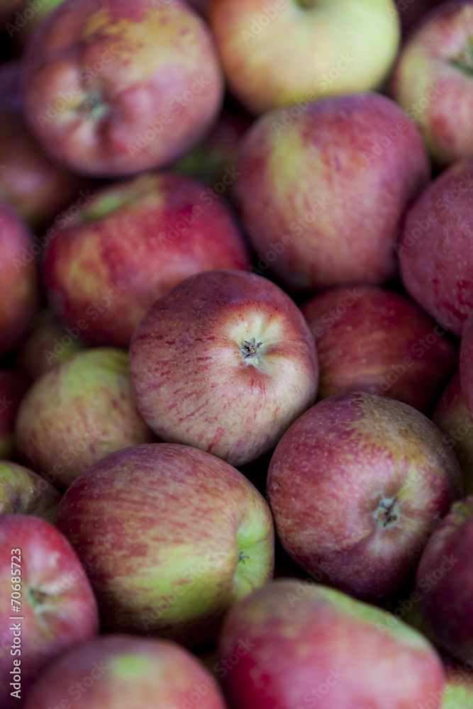 Apples Apples