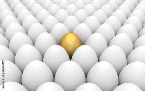 Golden and white eggs