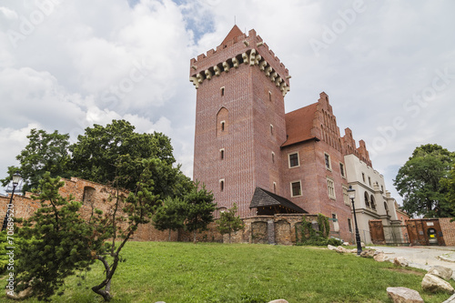 Royal Castle in Poznan