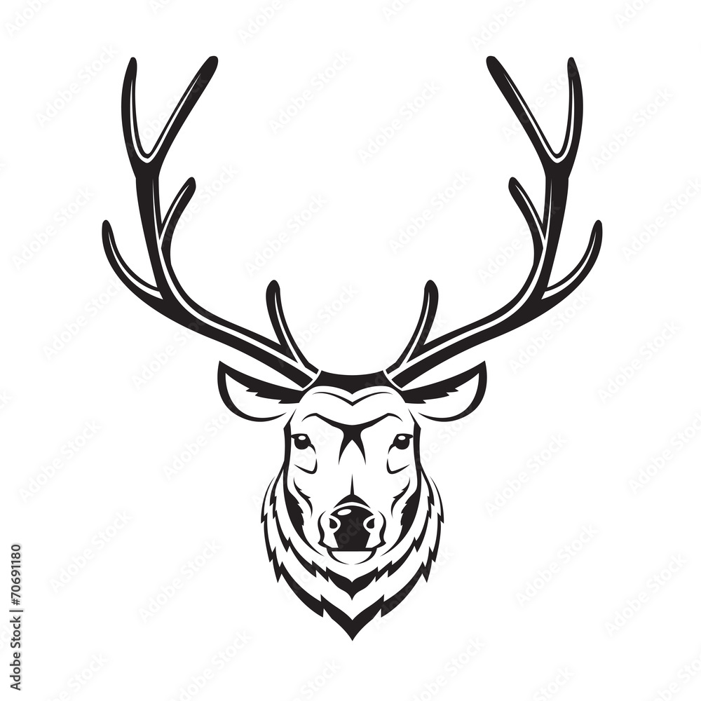monochrome image of an deer head monochrome image of an deer head