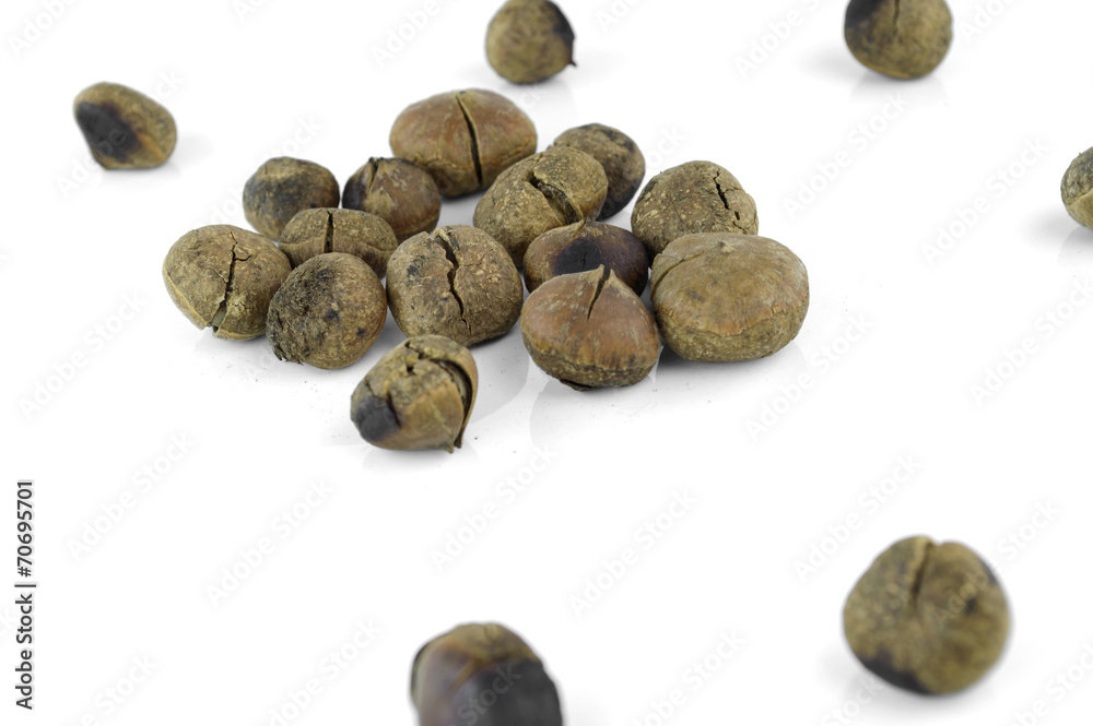 Hazelnuts on white background Hazelnuts on white background
