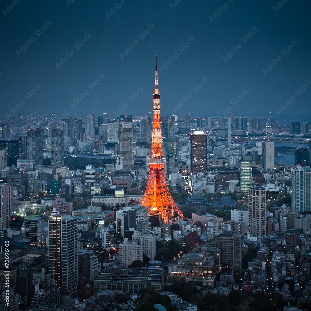 Naklejka premium Tokio wieża nocne niebo widok