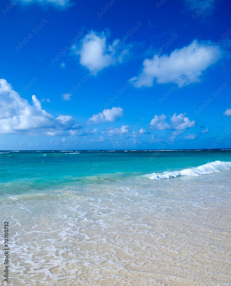 tropical sea tropical sea