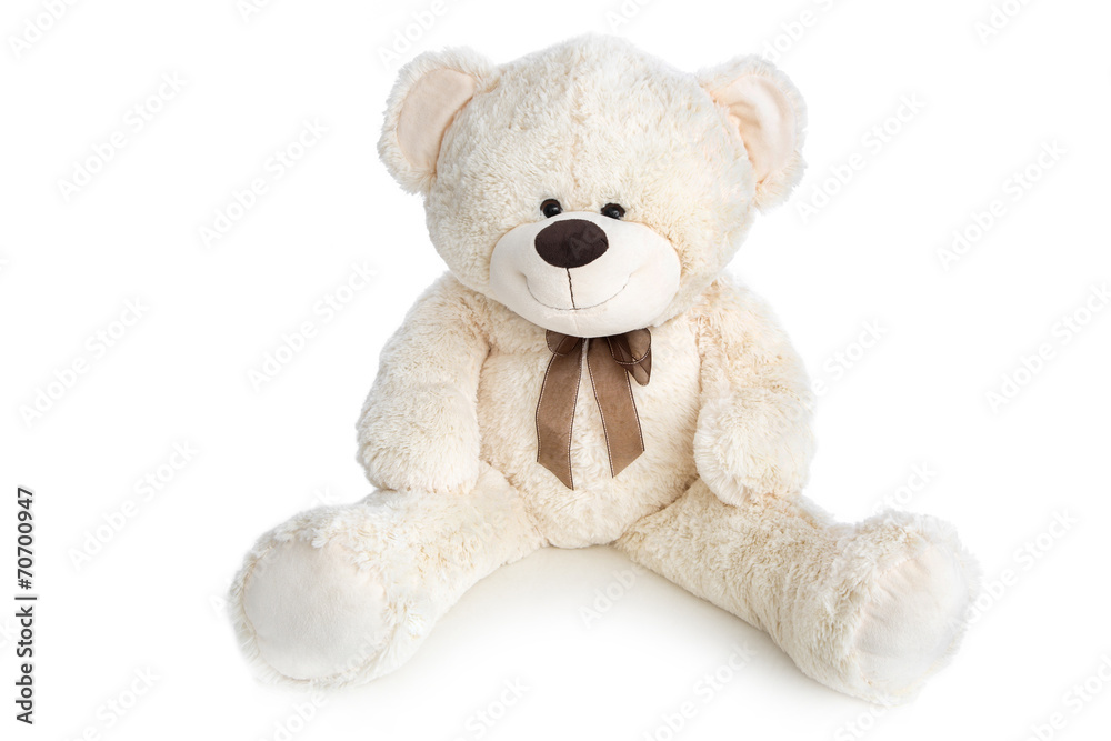Weißer Teddybär freigestellt auf Weiß Stock-Foto | Adobe Stock