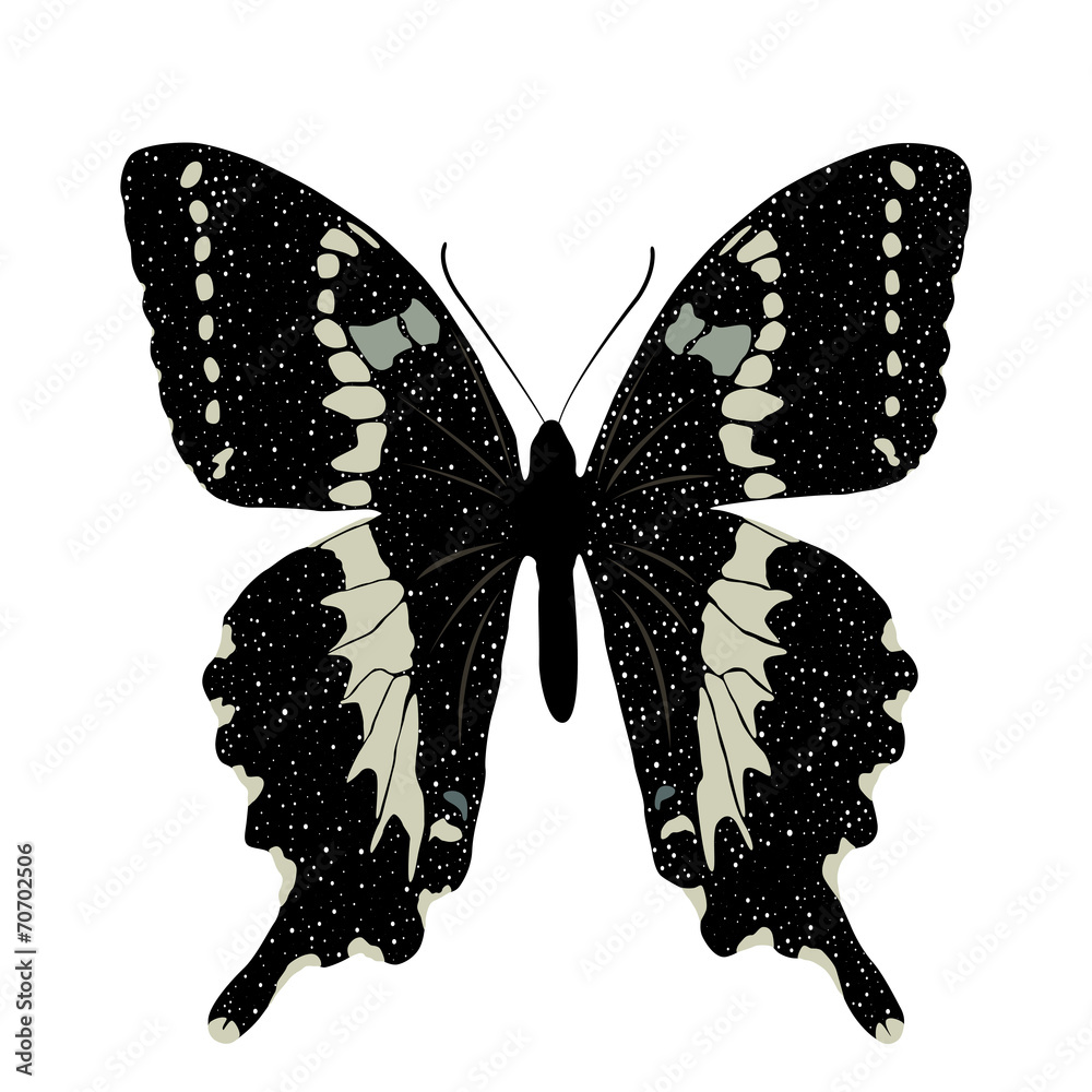 Butterfly isolated on white background. Vector EPS10. Butterfly isolated on white background. Vector EPS10.