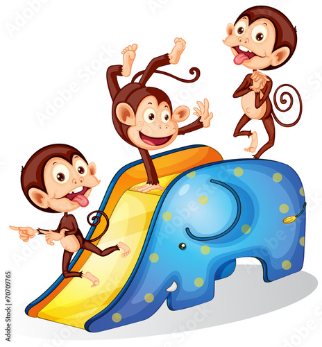 Monkeys and slide