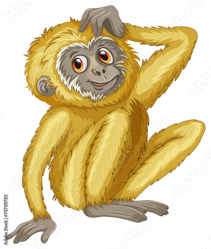Gibbon