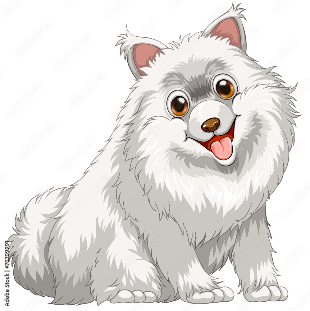 Dog Dog