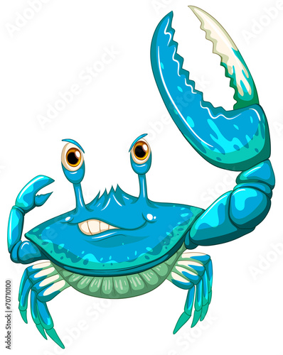 Crab