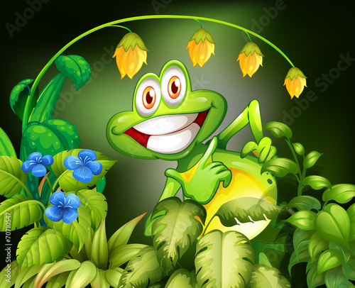 Fototapeta Naklejka Na Ścianę i Meble -  Frog and flower