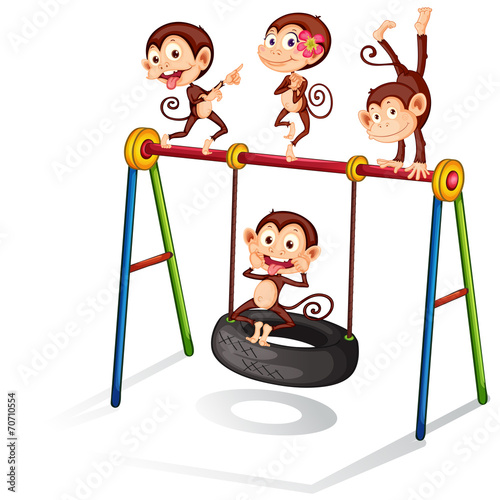 Monkey and swing