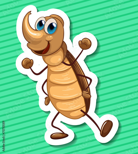 Beetle