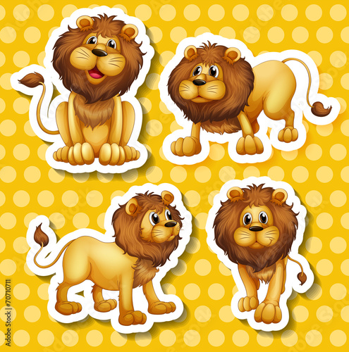 Fototapeta Naklejka Na Ścianę i Meble -  Lion set