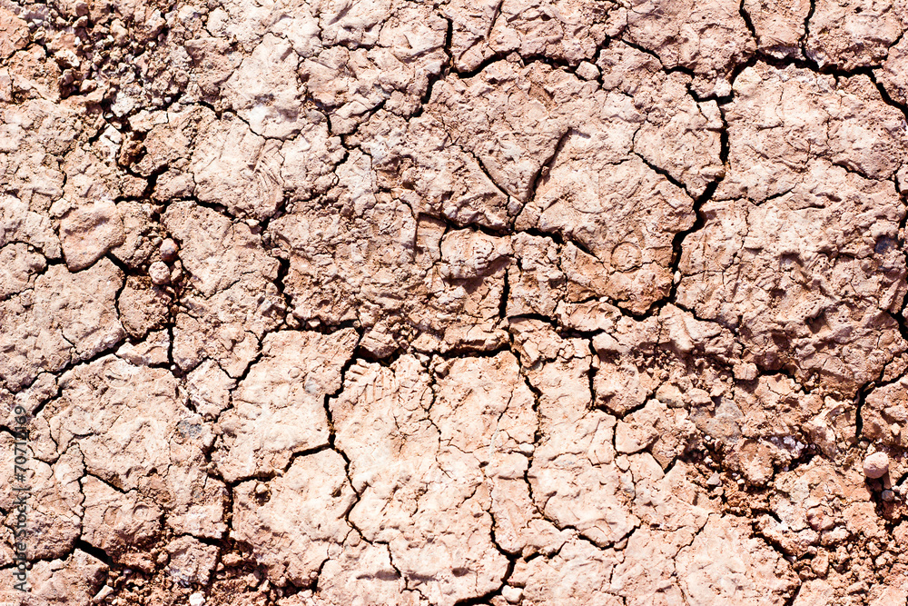 Dry cracked ground texture. Dry cracked ground texture.