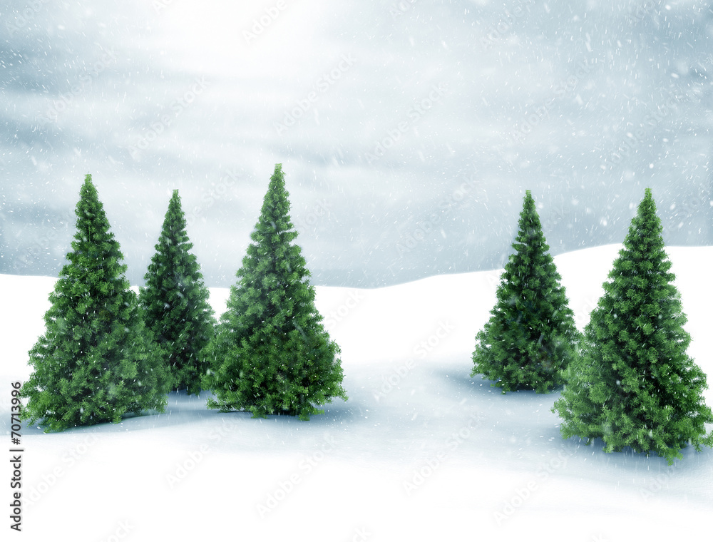 Winter scene snow and green pine trees