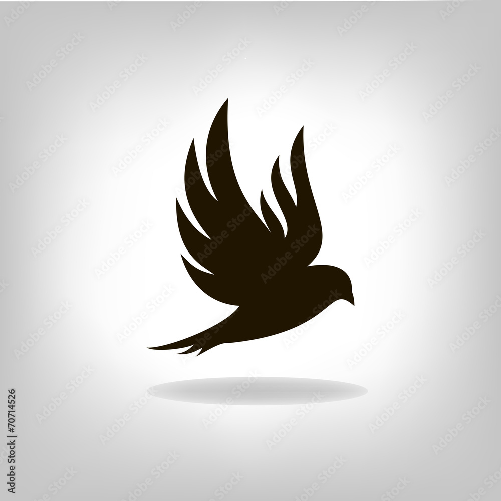 Black bird isolated with outstretched wings