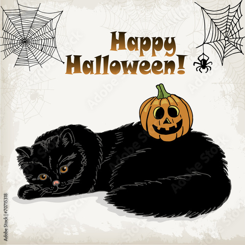 Halloween card with a cat, pumpkin, spider and spider web