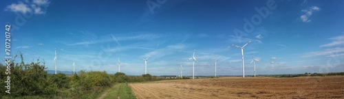 Wallpaper Mural Windräder bei Herxheim in der Pfalz Torontodigital.ca