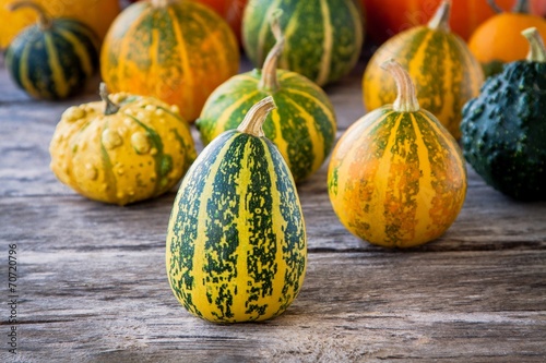 ripe organic colored pumpkins