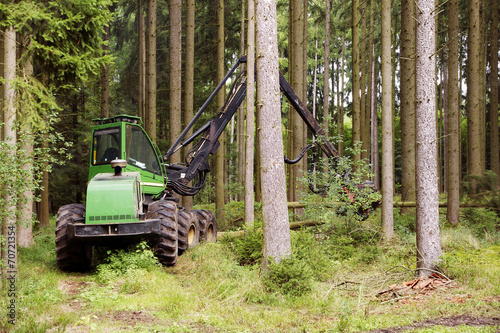 Holzvollernter bei Durchforstung