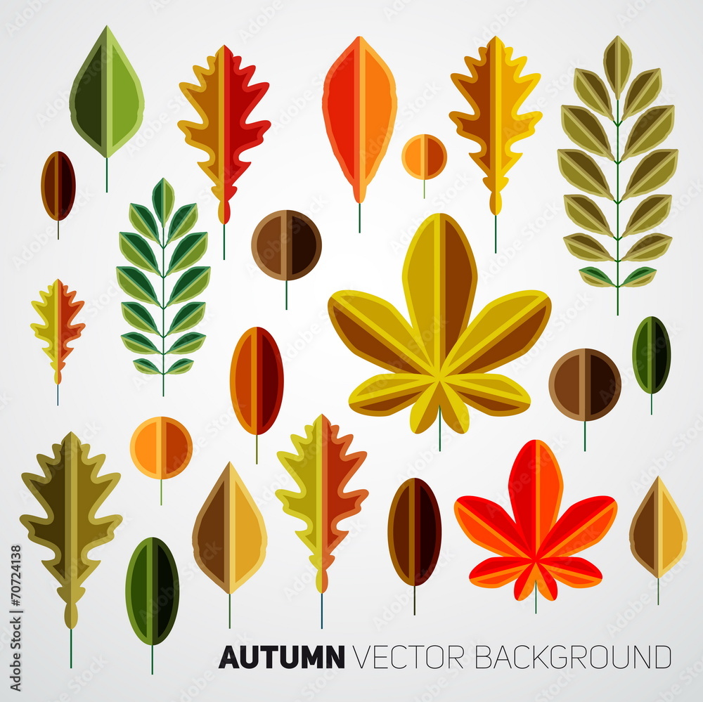 Fototapeta premium Autumn abstract floral background pattern, Colorful vector leafs