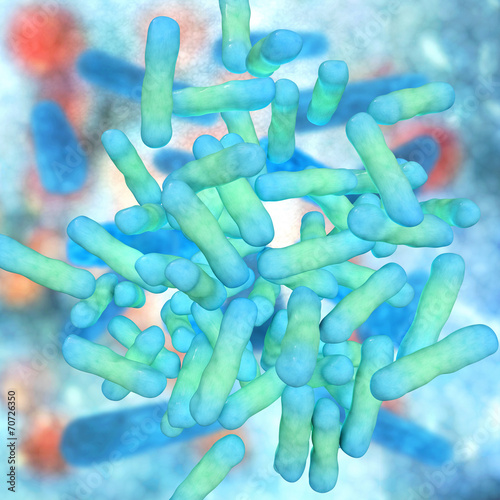 Shigella dysenteriae - 3d Render photo