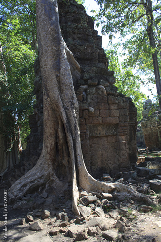 Angkor's popular temples, Cambodia