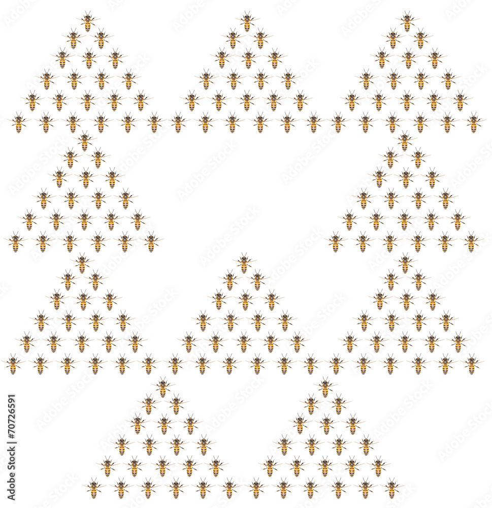 a swarm of bees on a white background a swarm of bees on a white background